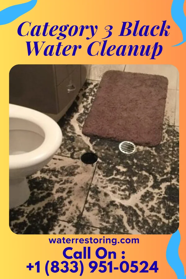 Category 3 Black Water Cleanup in East Renton Highlands, WA